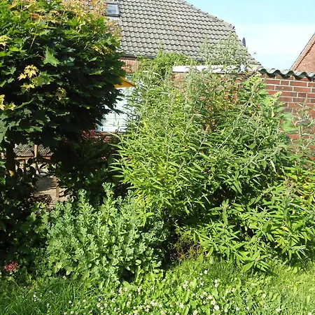 Holiday home Campen Krummhoern